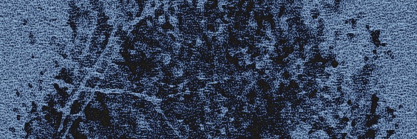 odilon.wav banner