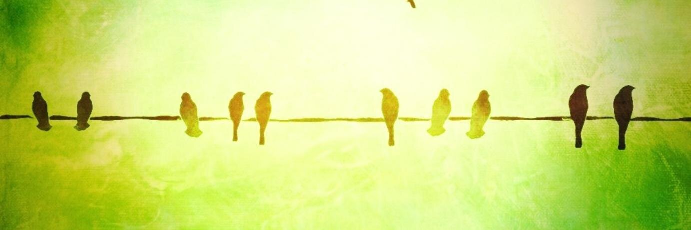 Rodrigo (roccons) banner