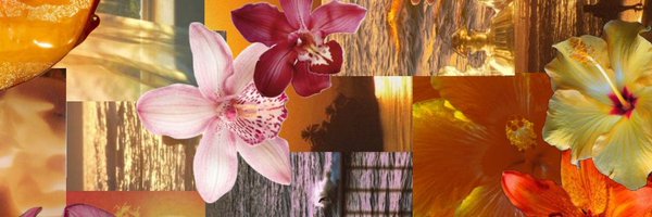 mayoagain_ Profile Banner