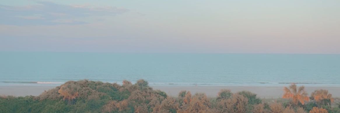AllasynAnderson's profile banner image