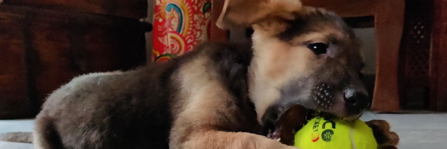 Kartikeya Ramanathan banner