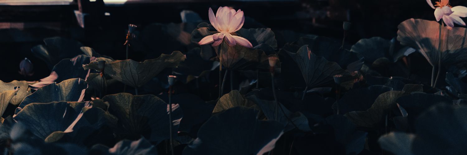 Laughingman_ryo's profile banner image