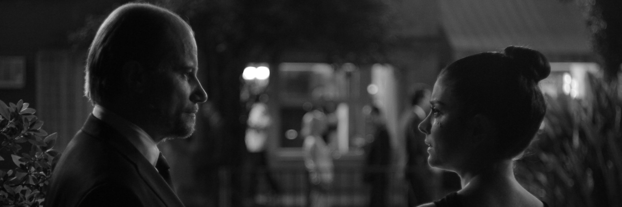 luzincidente's profile banner image