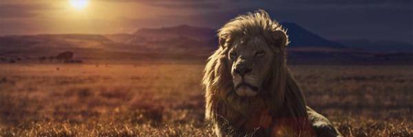 Blowing7 Profile Banner