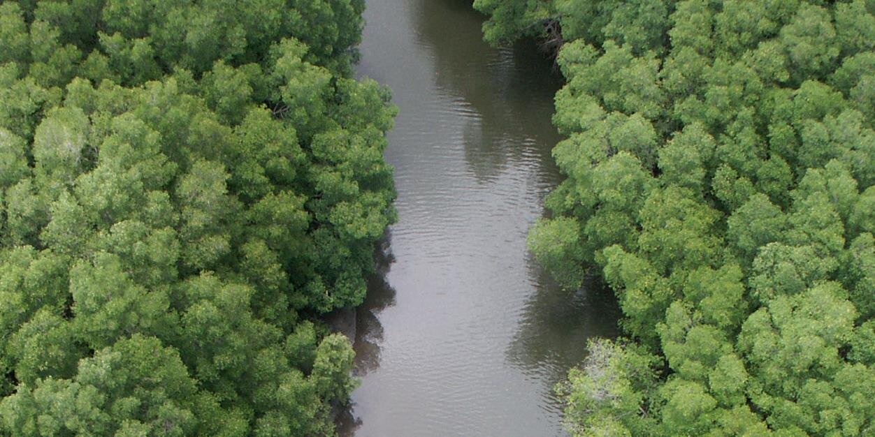 David Nussbaum banner