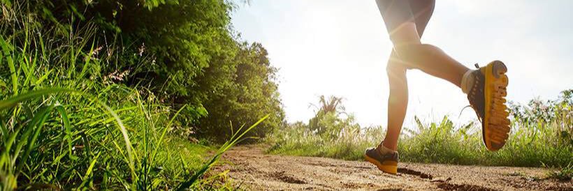 Valérie Garnier banner