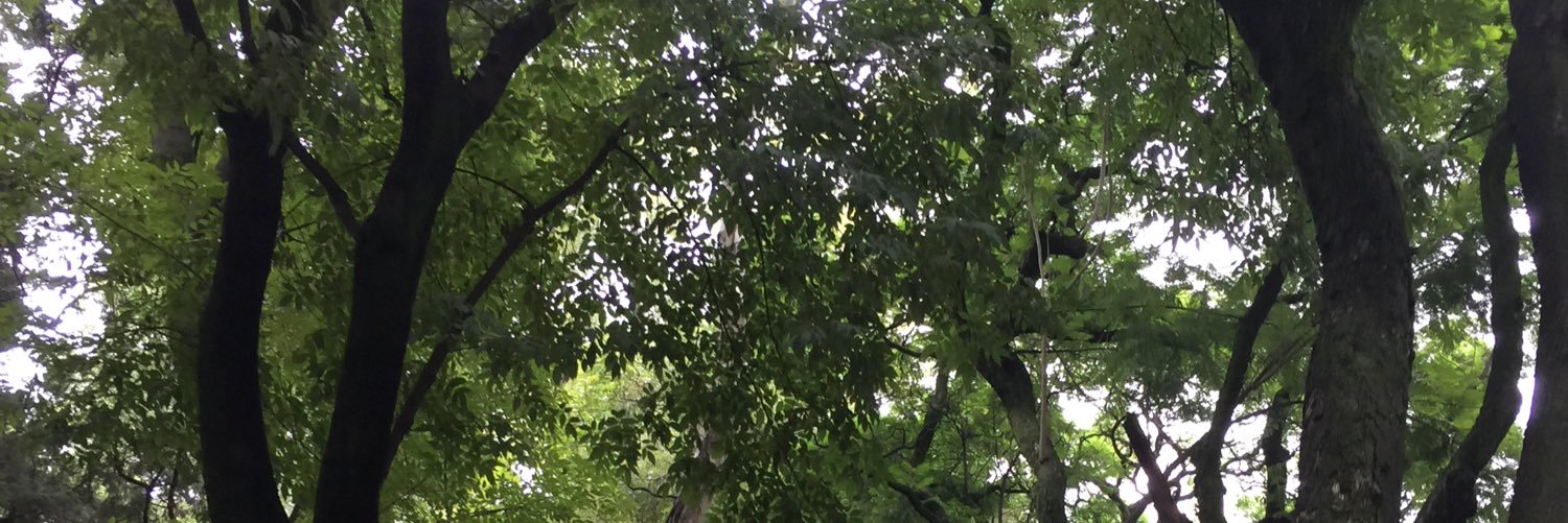 Mathilde Vankelegom banner