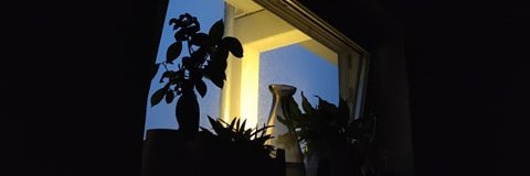 Nickolaj Prodanovic 🗡 banner