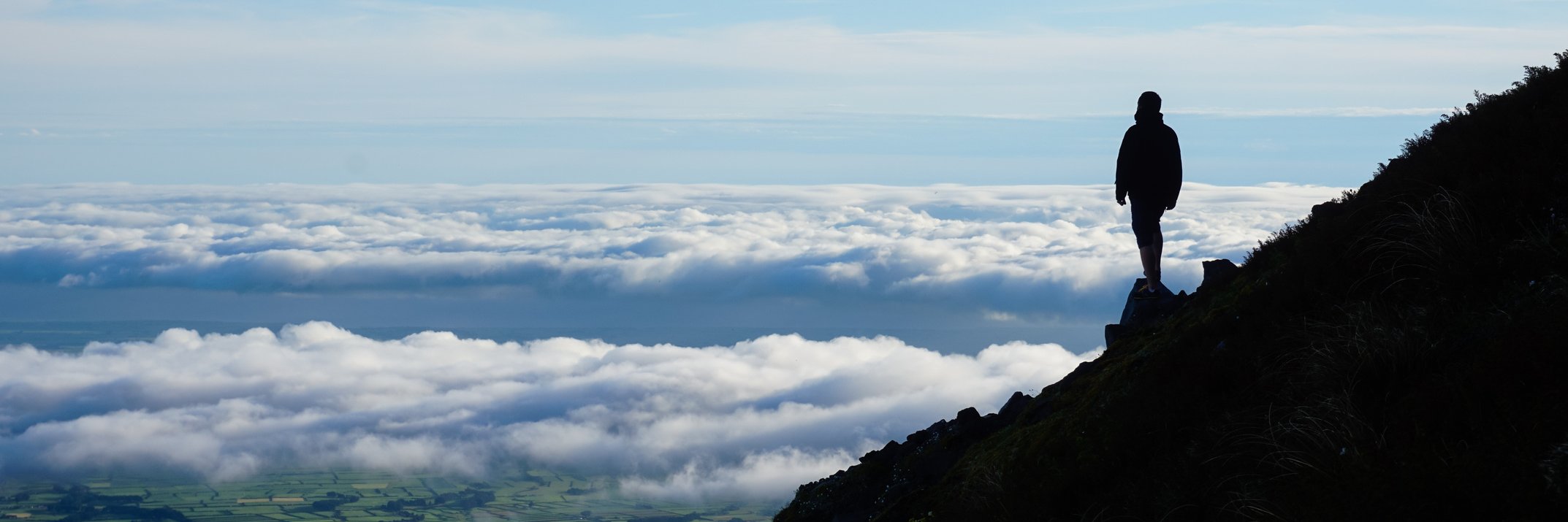 ContactMingzi's profile banner image