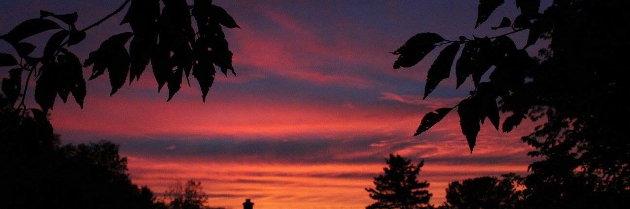 Mac_Beth13's profile banner image