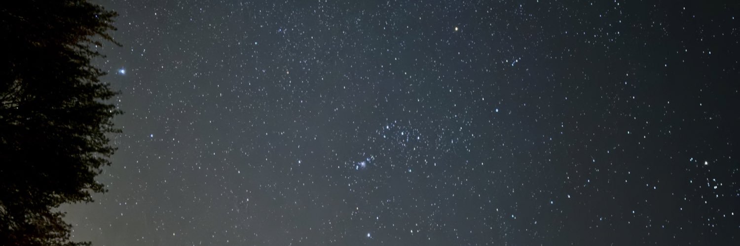 Rashed Al Mowaina banner