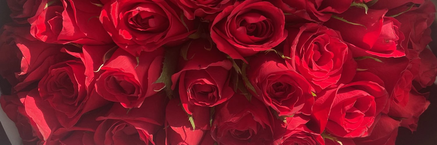 mitzibrioness's profile banner image