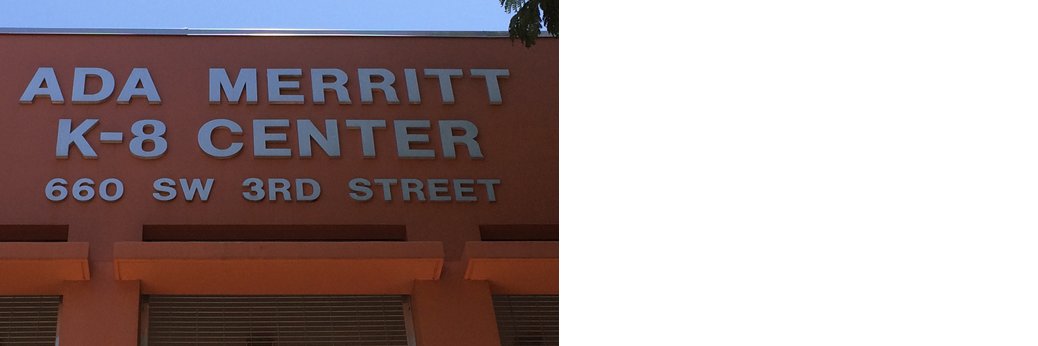 Ada Merritt banner