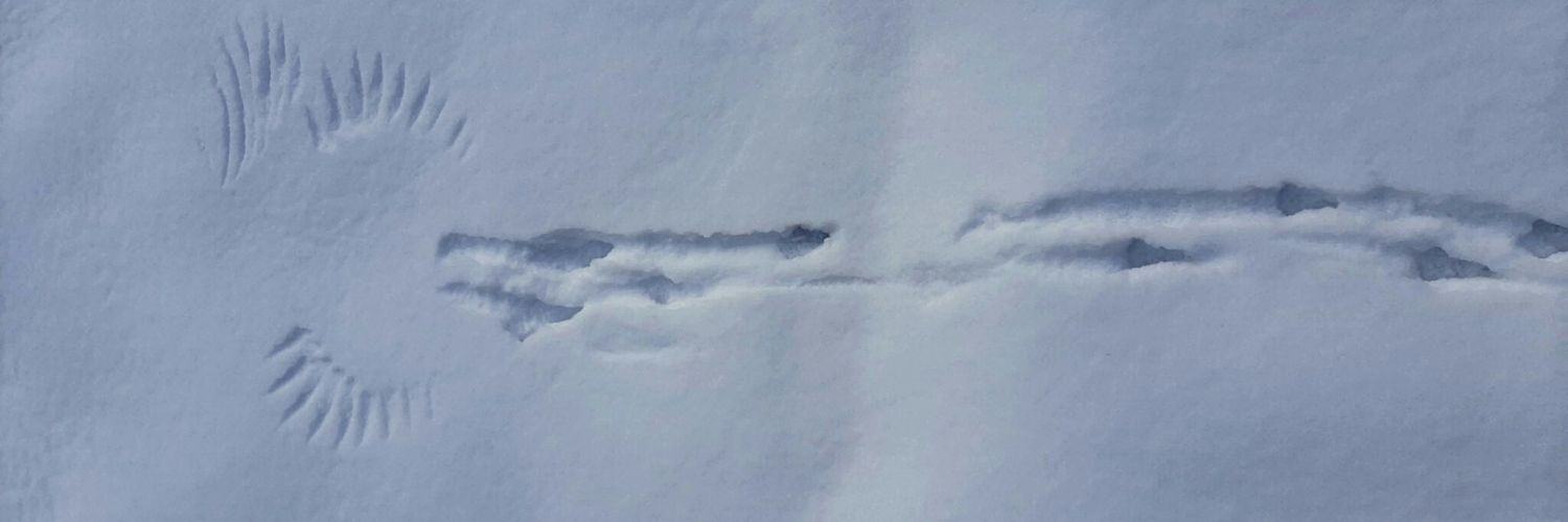 🇮🇷 جوان banner