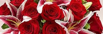 airii's profile banner image