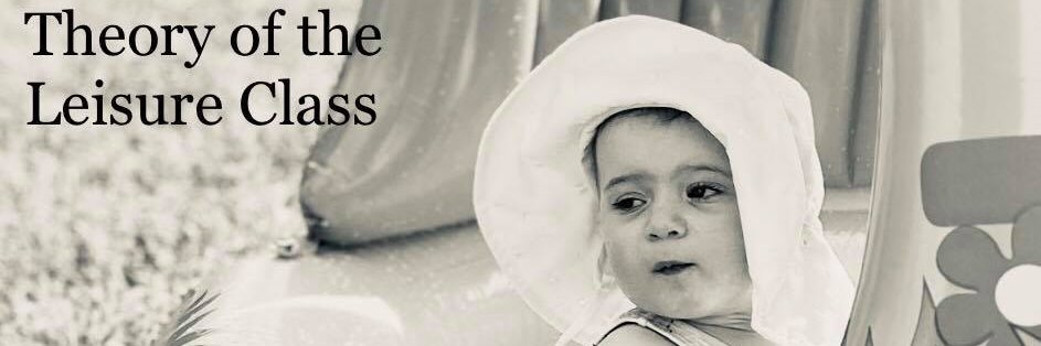 Ryan, a koch snowflake (😷📉✊🥦🧀❄️) banner