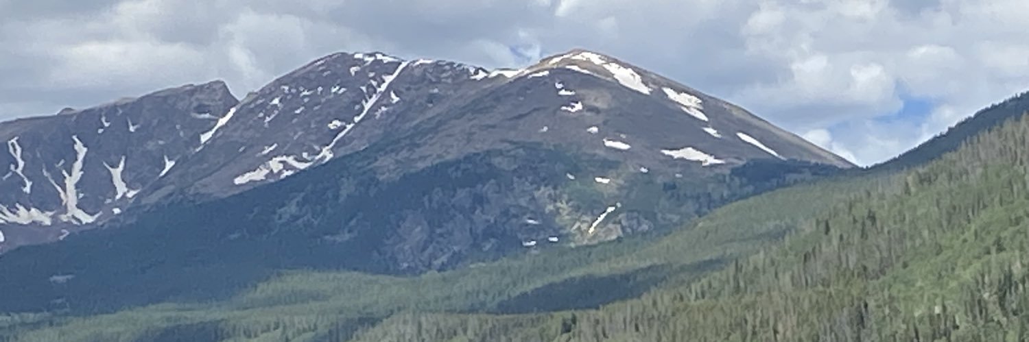 Rob Griffiths banner