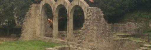 Lisa Parshall banner