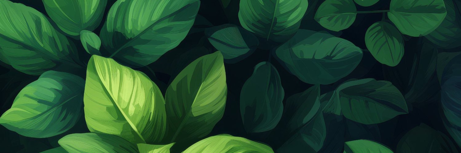 HyruleHomo's profile banner image