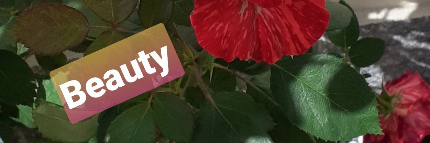MSylviaCB's profile banner image
