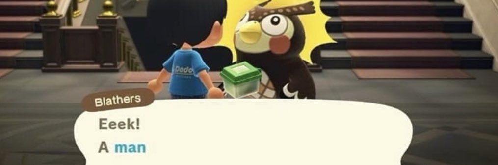 𐙚𝑺𝒂 ⋆ ˚⟡˖ ࣪ banner
