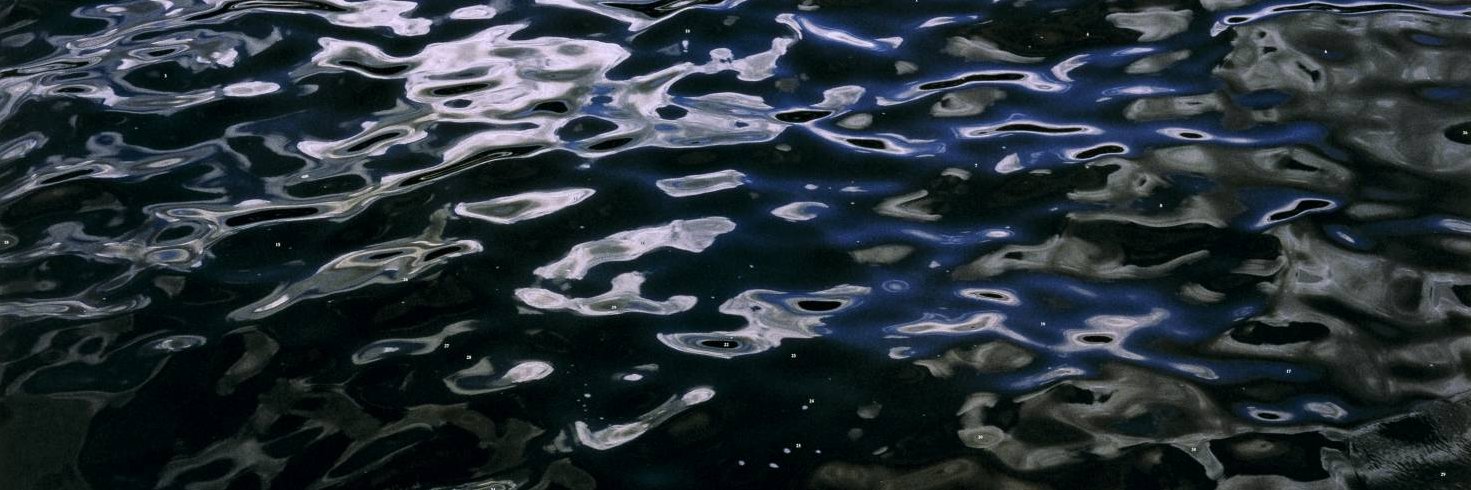 Andrew Marantz banner