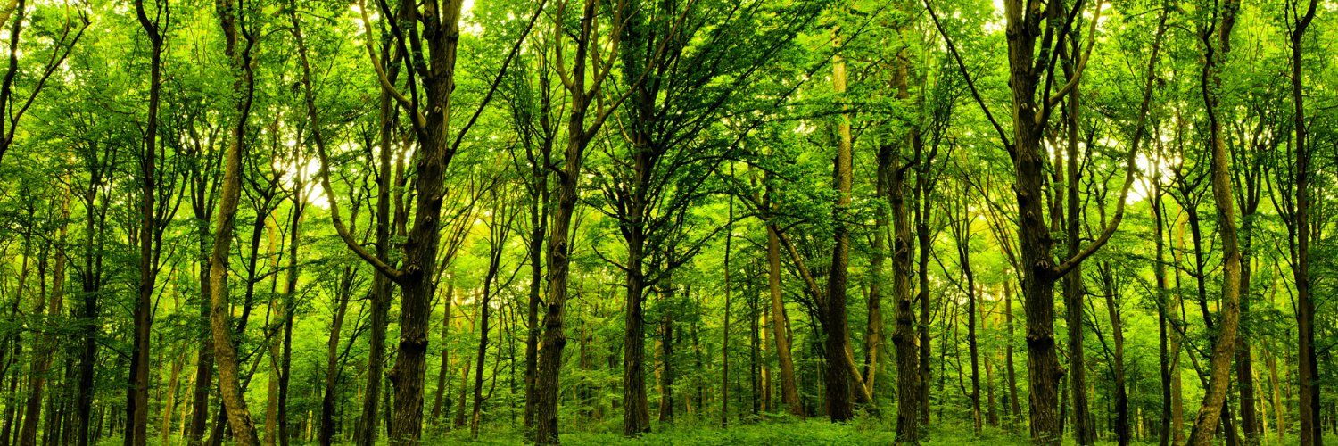 lola club Tabasco | ETHGas ⛽ banner