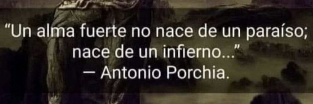 José Manuel Suárez banner