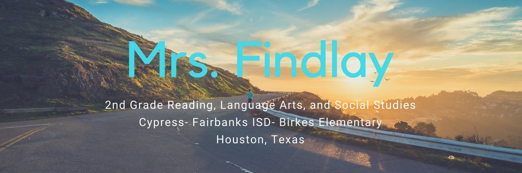 Ashley Findlay banner