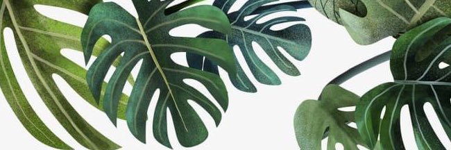 adeirma_95's profile banner image