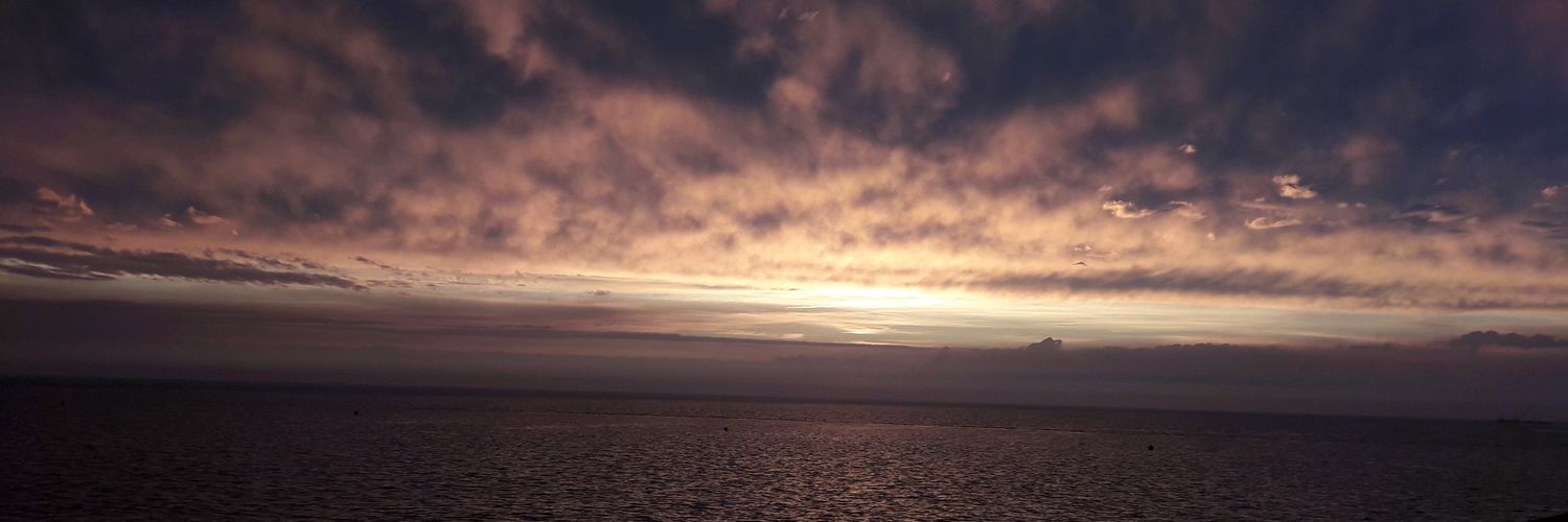 nrmldude's profile banner image