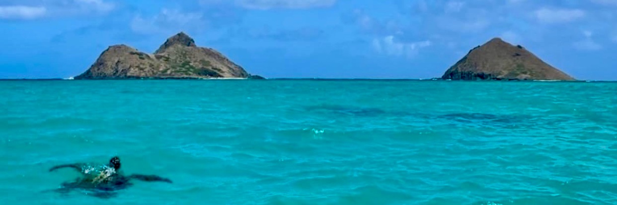 hanamoniz's profile banner image