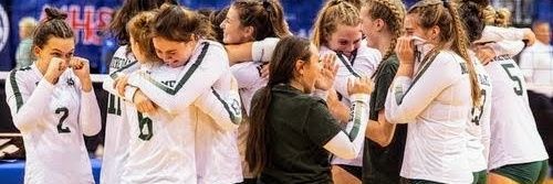 NDP Volleyball banner