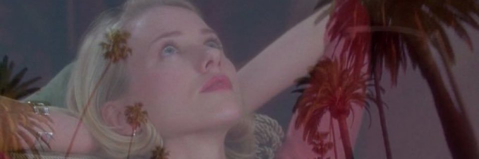 Barb Noire, PI banner