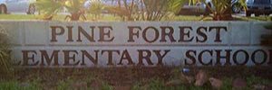 PFE 1st Grade banner