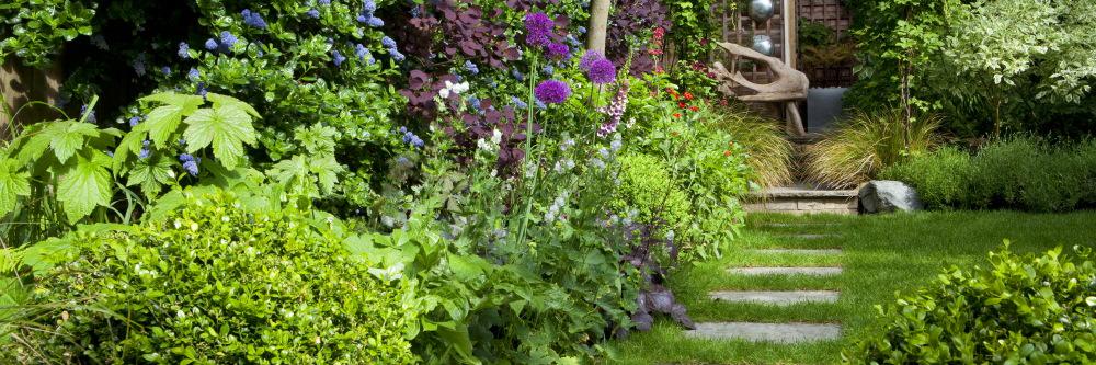 Jilayne Rickards banner