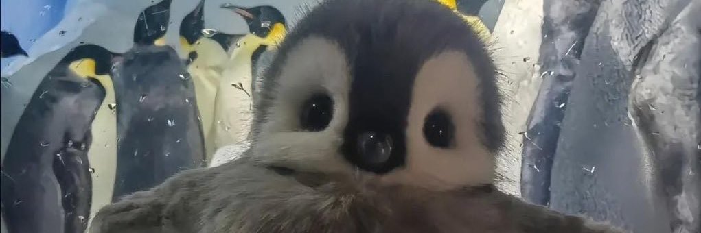 moondaisy_d's profile banner image
