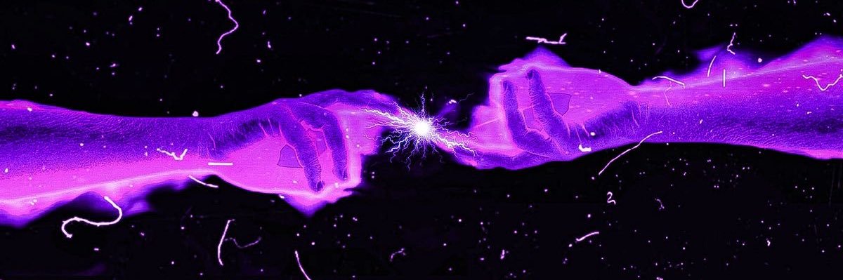 flor 🪻 banner