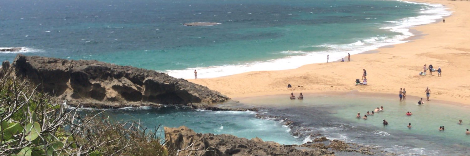 virgoniana 🪬 banner