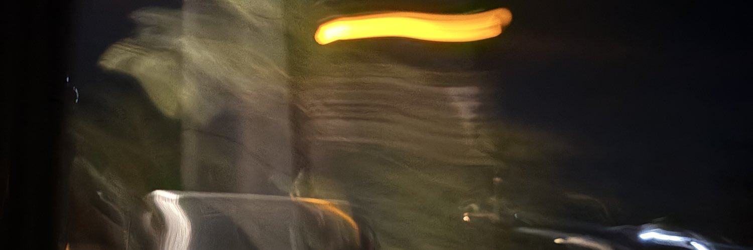litzyyyyg's profile banner image