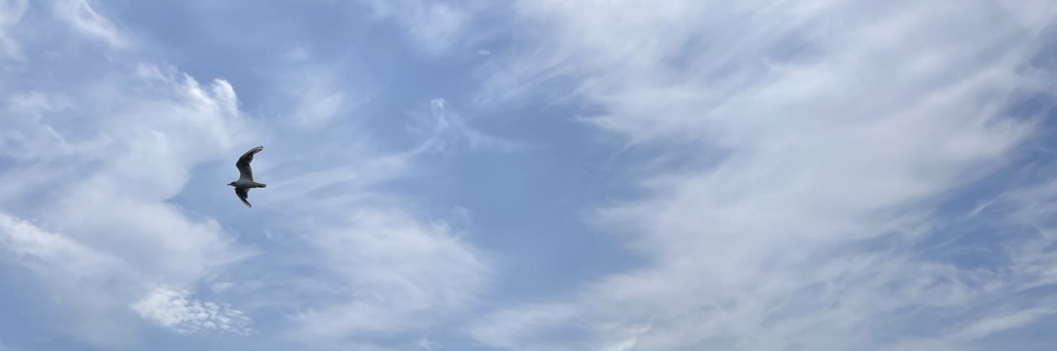 N8t9_'s profile banner image