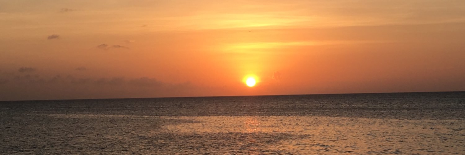 Schatzzy17's profile banner image