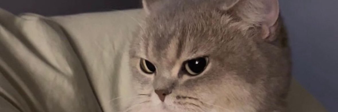 silviamiller's profile banner image
