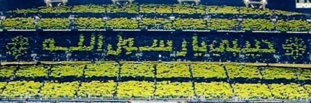 محمد الحارثي🇸🇦MBS🇸🇦 banner