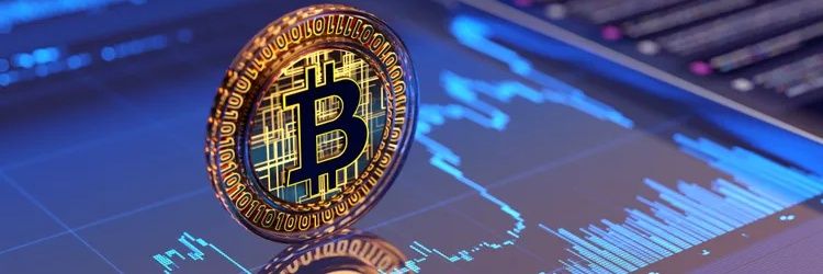cryptosafs's profile banner image