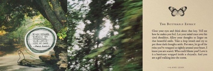 ⋆ banner