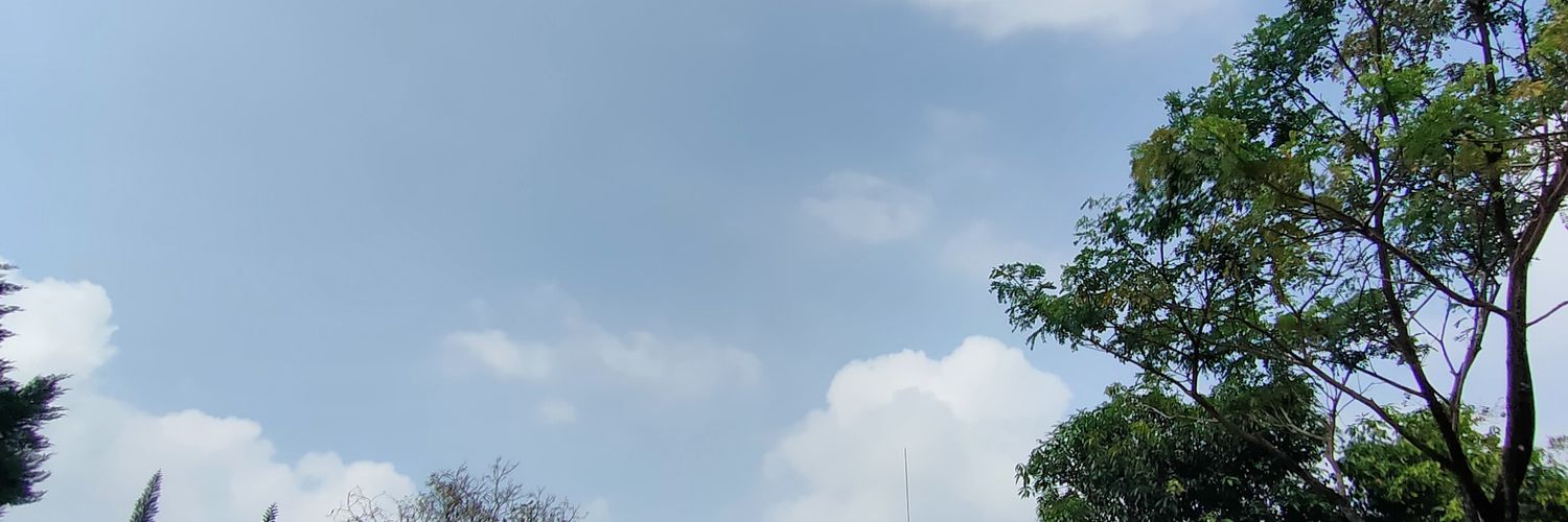 scottsveal's profile banner image