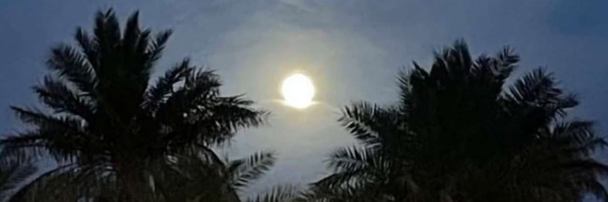 عبدالله مجرن العفاسي ♛ banner