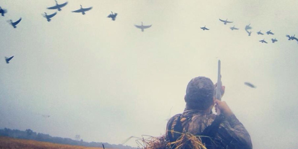 Cam Dolan banner