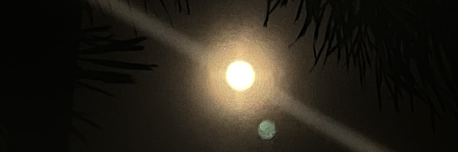 _berennde's profile banner image